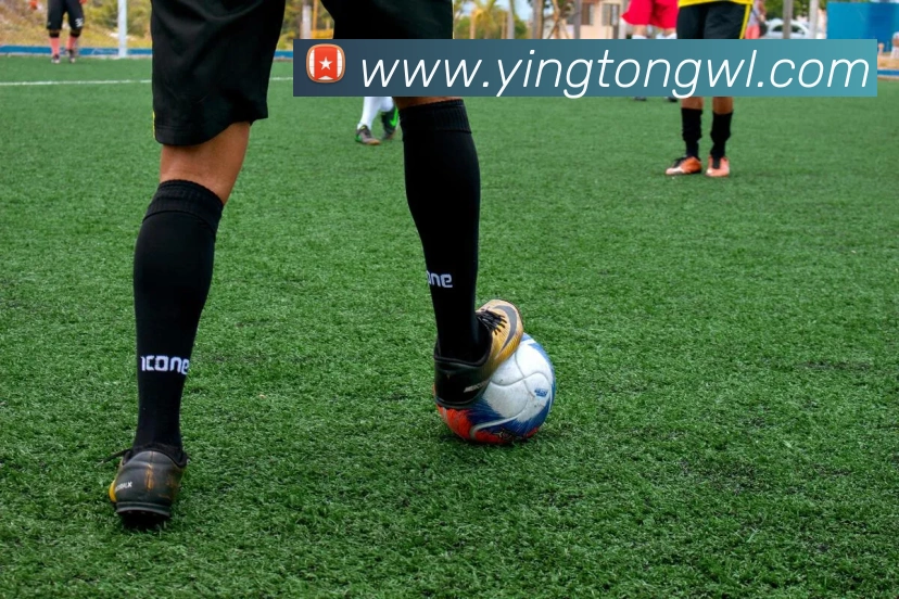 星空平台生态图