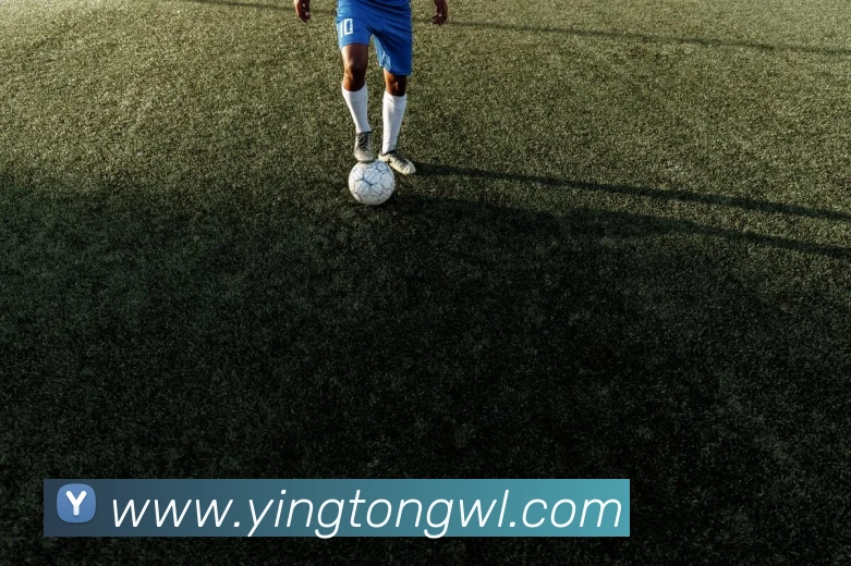 数据防护可视化