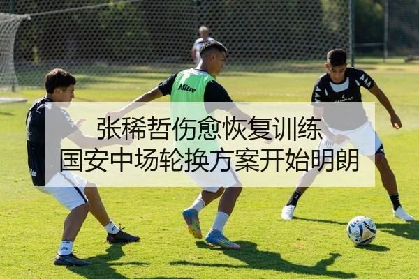 张稀哲伤愈恢复训练 国安中场轮换方案开始明朗