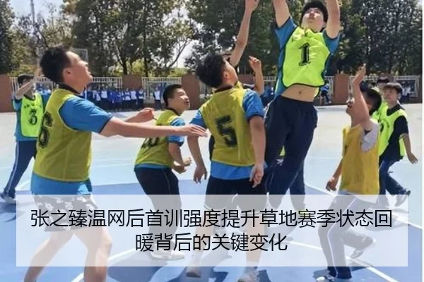 张之臻温网后首训强度提升草地赛季状态回暖背后的关键变化