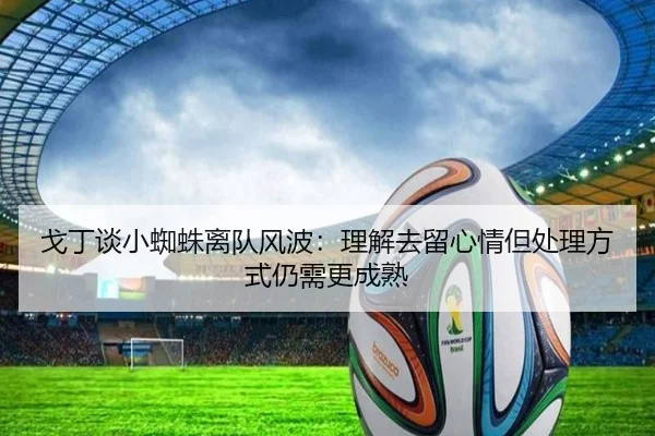 戈丁谈小蜘蛛离队风波：理解去留心情但处理方式仍需更成熟